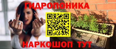 прущие грибы Малгобек