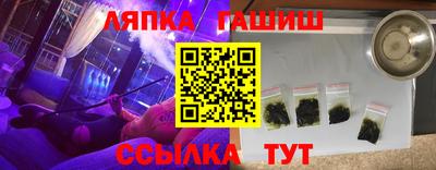 прущие грибы Малгобек