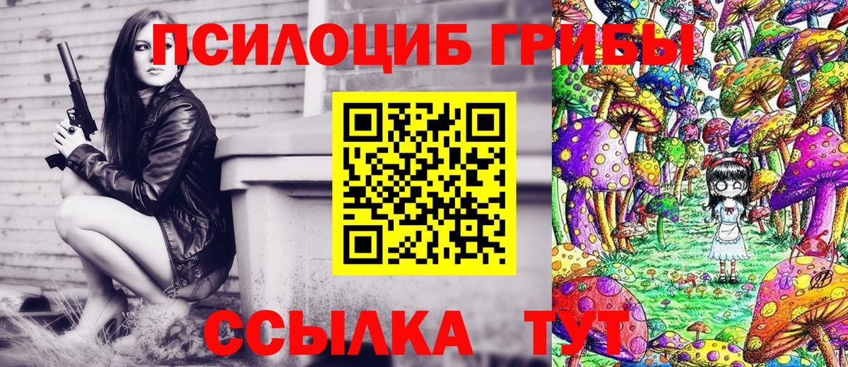 купить закладку  Псилоцибиновые грибы Magic Shrooms  Сланцы  Вход с VPN  Псилоцибиновые грибы MAGIC MUSHROOMS 